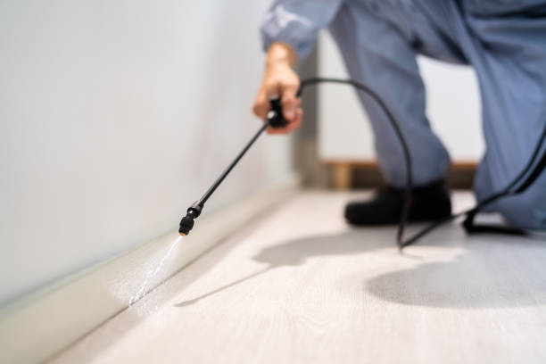 Licensed Pest Control service in Okemah, OK - Show Me Pest Control