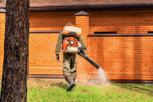 Bed Bug Clearance Verification and Documentation in Okemah